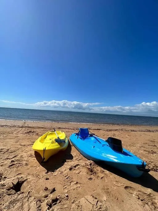 Beachside Beauty- Large Family Home In Scarborough